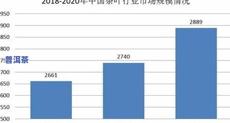 普洱茶市场情况详解视频：深度解析最新趋势与前景