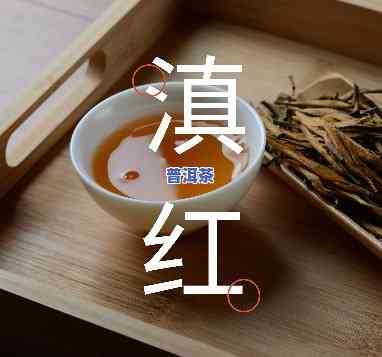 昆明滇红茶叶老字号电话及云南省滇红茶厂联系方法、地址全攻略