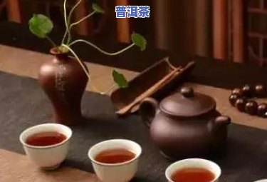 普洱茶泡茶需不需要洗茶？起因解析