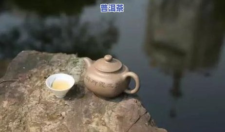 普洱茶泡茶需不需要洗茶？起因解析