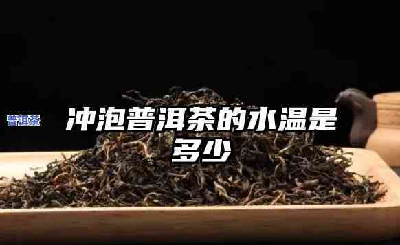 冲普洱茶用多少度的水合适-冲普洱茶用多少度的水合适呢