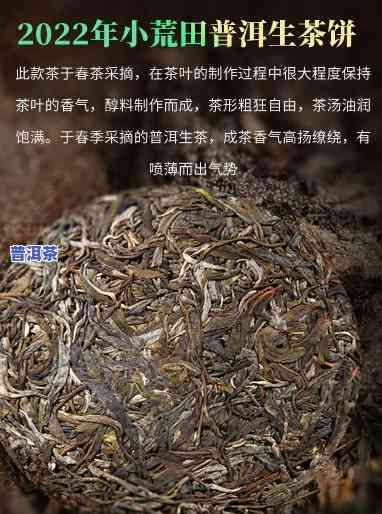 小荒田普洱茶的特点及价格全解析