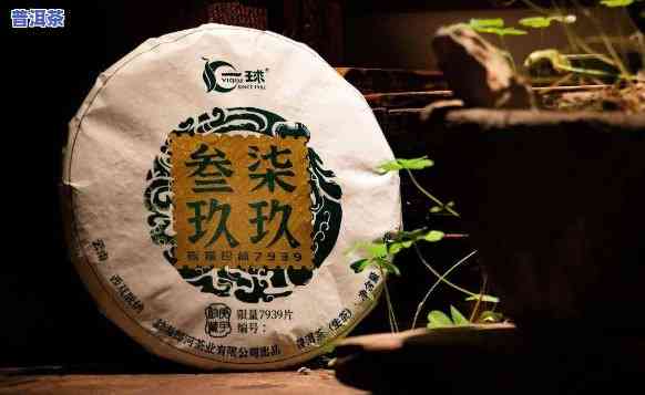 送人普洱茶一般送几饼，普洱茶送礼攻略：几饼最合适？