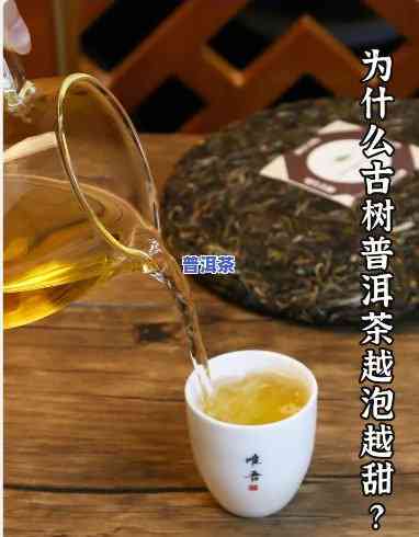 临仓古树普洱茶为什么口甜-临仓普洱茶区