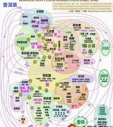 普洱生茶的转化条件，探索普洱生茶的转化之道：关键条件解析