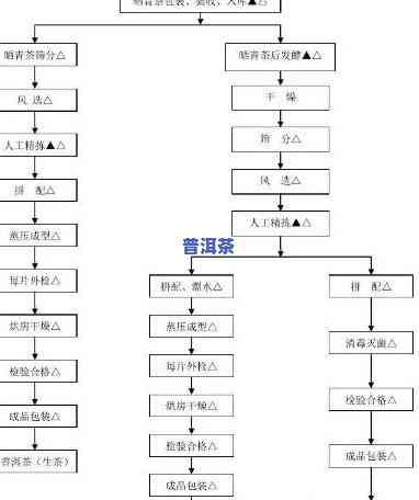 普洱茶生茶人工转化-普洱茶生茶人工转化工艺