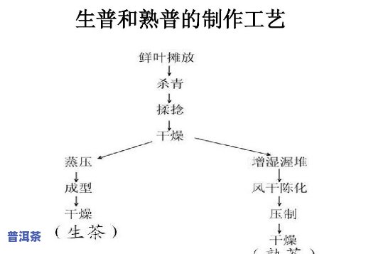 普洱茶生茶人工转化-普洱茶生茶人工转化工艺