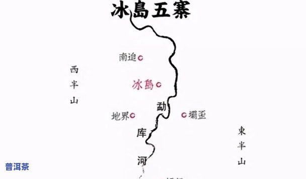 探索普洱茶冰岛：特别口感与特点深度解析