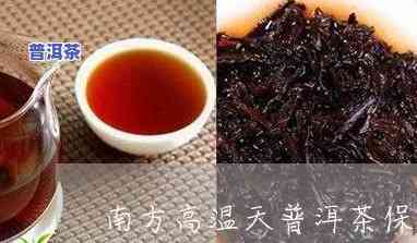 南方南风天怎么保管普洱茶-南方普洱茶的保存方法