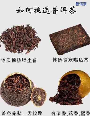 普洱属于什么类的茶-普洱属于什么类的茶叶