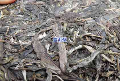 蛮砖普洱茶：探索全茶区特性与特别口感