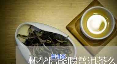 怀孕三个月能喝普洱茶吗，怀孕三个月可以饮用普洱茶吗？