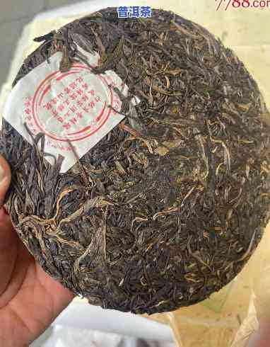 98年的普洱茶赞美-1998年的普洱茶