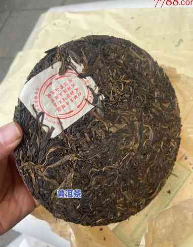 98年的普洱茶赞美-1998年的普洱茶