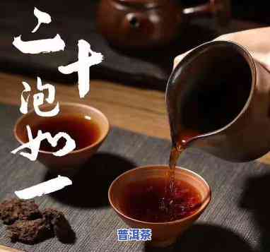 怎么代理信记普洱茶卖，怎样成为信记普洱茶代理商？