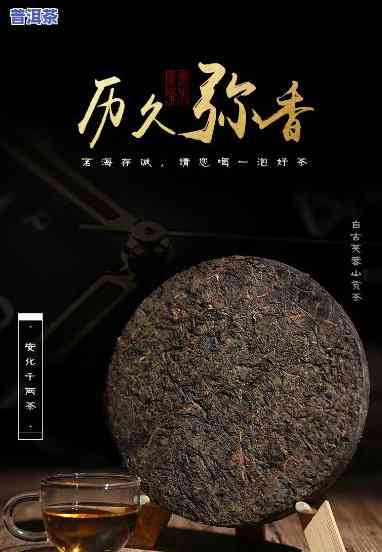 怎么代理信记普洱茶-怎么代理信记普洱茶产品