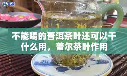 普洱茶不能喝可以干什么用-普洱茶不能喝吗