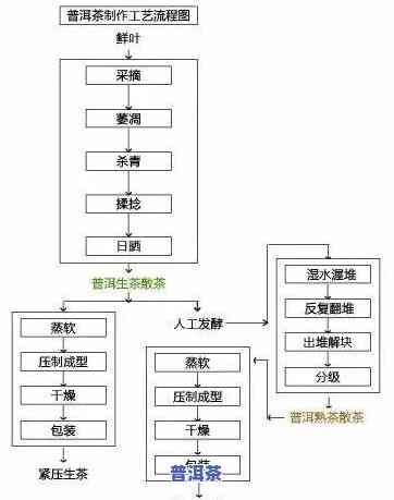 全面熟悉普洱茶饼生产工艺：车间流程图、价格一览