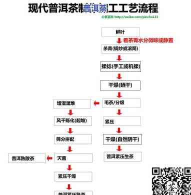 全面熟悉普洱茶饼生产工艺：车间流程图、价格一览