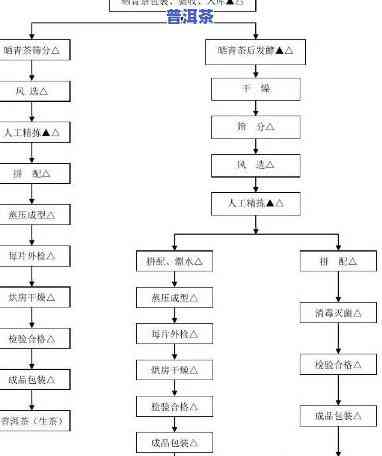 全面熟悉普洱茶饼生产工艺：车间流程图、价格一览