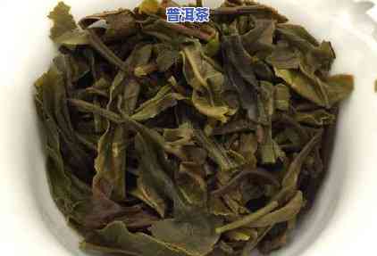 斗记普洱茶官方冲泡指南，斗记普洱茶官方冲泡指南：让你轻松掌握普洱茶的冲泡技巧！