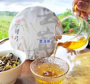 云南普洱弯弓茶特点-弯弓普洱茶的特点