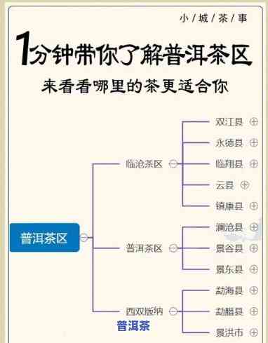 福建普洱茶产地在哪里，揭秘福建普洱茶的产地：你不知道的秘密！