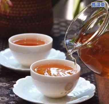 新境普洱茶加盟条件详解：你必须知道的所有信息