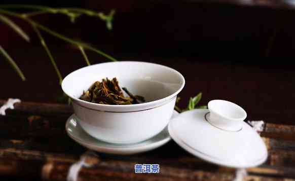 新境普洱茶加盟条件详解：你必须知道的所有信息