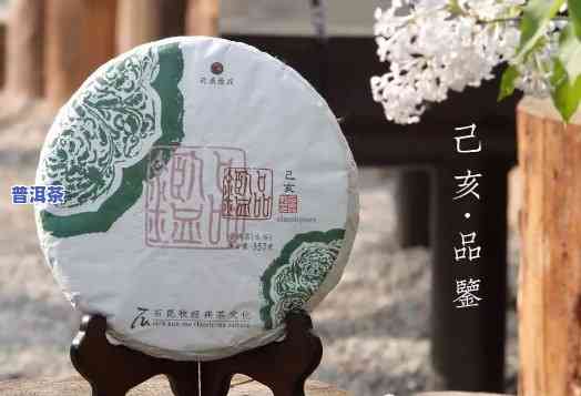 新境普洱茶加盟条件详解：你必须知道的所有信息