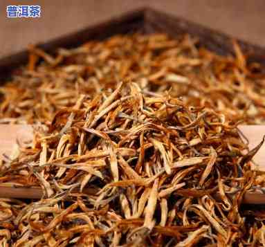 滇红茶哪个季节更好？什么季节的滇红茶口感更佳？