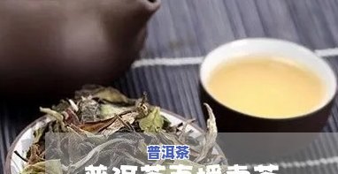 丽江卖普洱茶直播视频播放在哪里，寻找丽江普洱茶直播视频？这里告诉你播放地址！