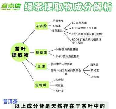 普洱茶成分，探索普洱茶的神秘成分：一种特别的茶叶体验