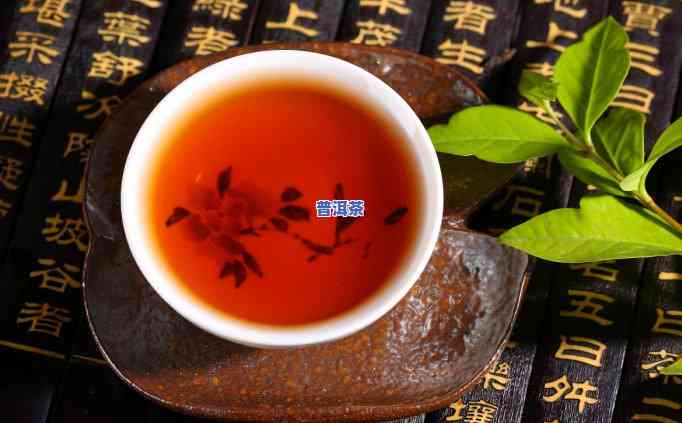 常规普洱茶成分分析-常规普洱茶成分分析图