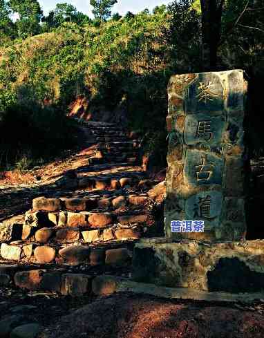 普洱茶马古道的由来、历史与传说