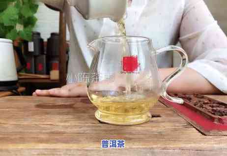 泡普洱茶之一道汤要倒掉吗？视频讲解全程步骤及出汤时间