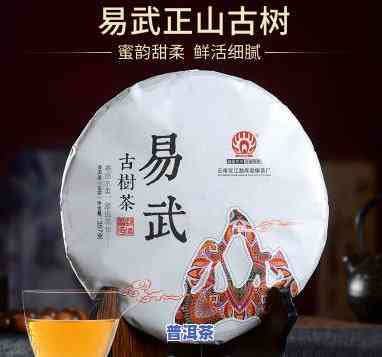 普洱聚友易武古树茶-普洱聚友易武古茶厂