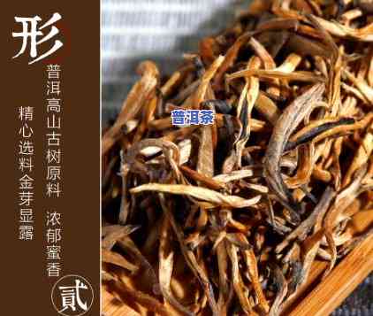 滇红茶什么更好最正宗？一次告诉你！