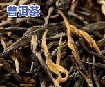 滇红茶排行榜前十名：揭秘优质茶品！