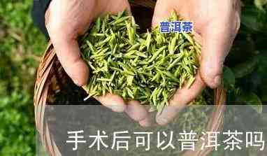 韧带手术后女生是不是适合饮用普洱茶和奶茶？