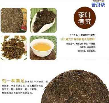 永泰普洱茶生产厂商-永泰普洱茶生产厂商名称