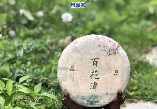 云南百花潭普洱茶的特点，探秘云南百花潭普洱茶的特别魅力