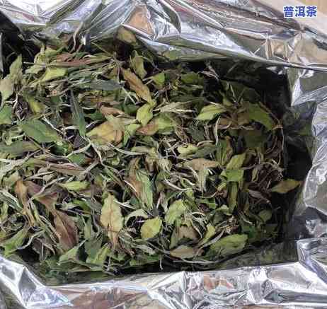 普洱茶怎样泡出更佳口感？从新茶到老茶，全方位解析泡法技巧！