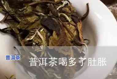 喝了普洱茶肚子涨：解决方案与预防措施