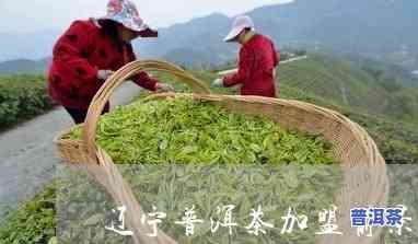 辽宁普洱茶加盟前景-辽宁普洱茶加盟前景怎样