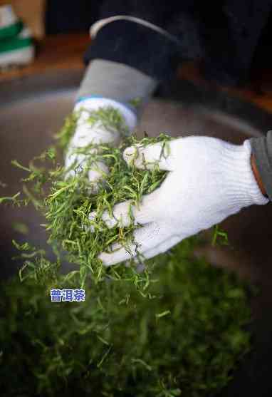 普洱茶为什么要杀青,揉捻，揭秘普洱茶制作工艺：为何要实施杀青和揉捻？