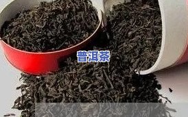 普洱茶蒸茶方法视频教程：详细步骤解析