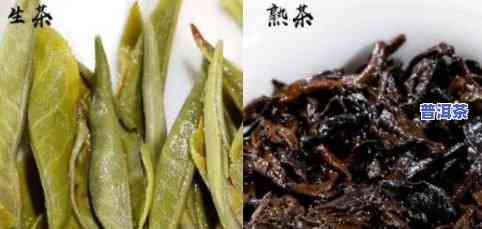 80年代普洱生茶，回味经典：探索80年代普洱生茶的特别魅力