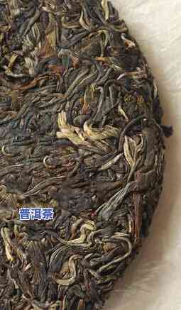 版面有虫吃的普洱茶能喝吗-长虫的普洱茶饼还能喝吗?