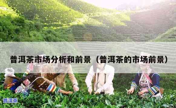 普洱茶交易行情，普洱茶市场动态：最新交易行情分析与预测